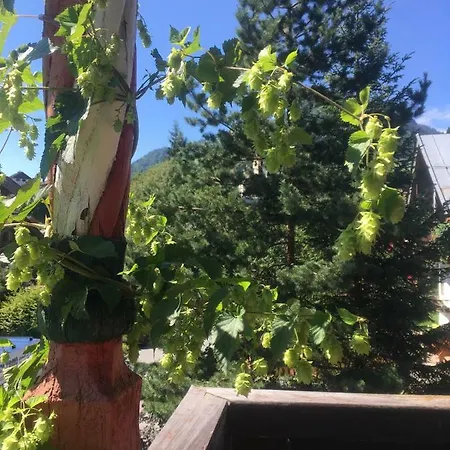 イン Wildegams Und Brauerei