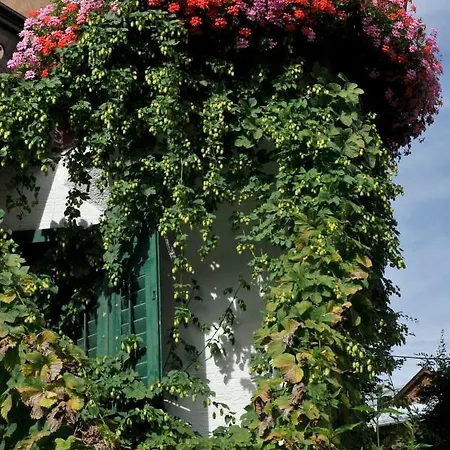 Wildegams Und Brauerei イン *