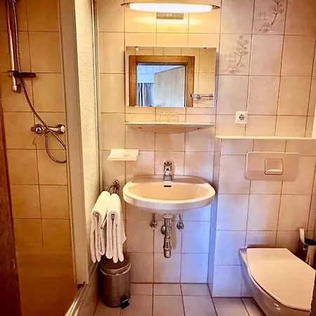 Wildegams Und Brauerei Gasthof Kirchberg in Tirol